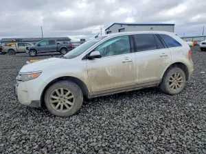2013 FORD EDGE
