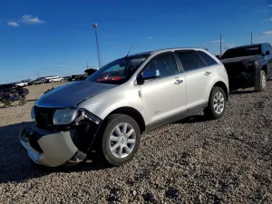 2009 LINCOLN MKX