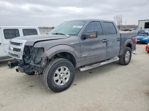 2013 FORD F-150