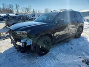 2025 TOYOTA GRAND HIGH