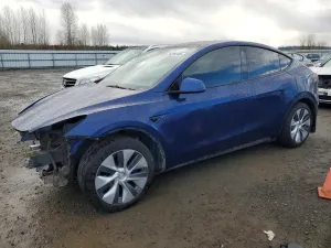 2021 TESLA MODEL Y