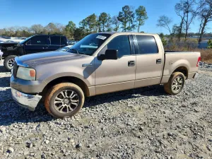 2004 FORD F-150