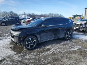 2026 HYUNDAI IONIQ 9