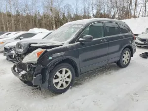 2010 HONDA CRV