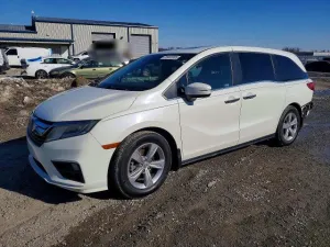 2019 HONDA All Models