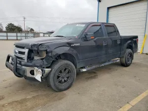 2013 FORD All Models