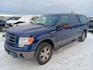 2009 FORD F-150