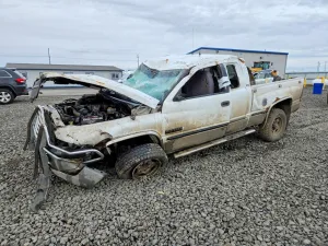 1998 DODGE All Models