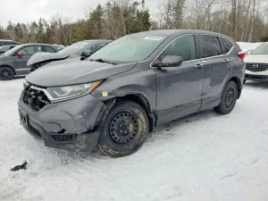2019 HONDA CRV