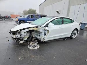 2019 TESLA MODEL 3