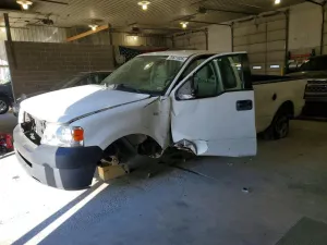 2006 FORD All Models