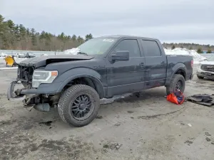 2013 FORD F-150
