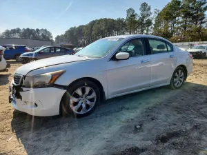2010 HONDA ACCORD