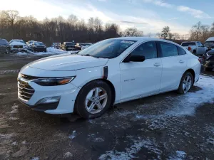 2019 CHEVROLET MALIBU