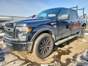 2009 FORD F150
