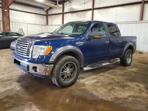 2010 FORD F-150