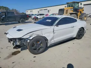 2019 FORD ALL Models