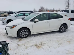 2023 TOYOTA COROLLA