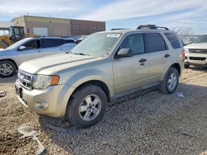 2010 FORD ESCAPE