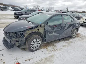2019 TOYOTA COROLLA