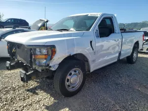 2023 FORD All Models