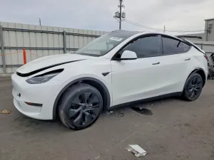 2025 TESLA MODEL Y