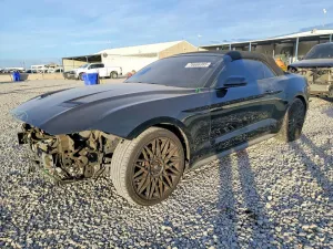 2019 FORD ALL Models