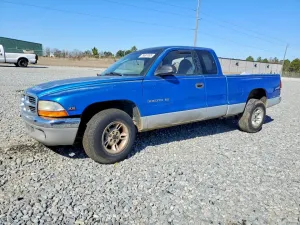 1999 DODGE All Models