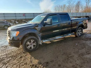 2010 FORD F150