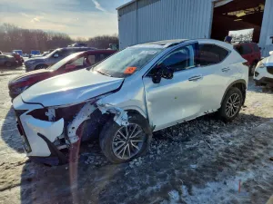 2025 LEXUS NX 350H BA