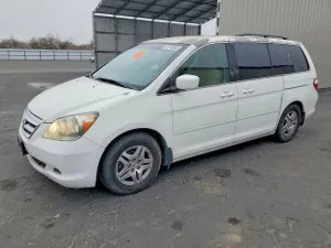 2007 HONDA All Models