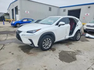 2020 LEXUS NX