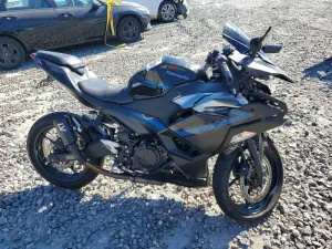 2025 KAWASAKI NINJA 500