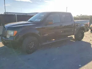 2011 FORD F-150