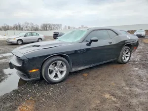 2019 DODGE CHALLENGER