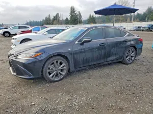 2019 LEXUS ES350