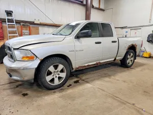 2010 DODGE All Models