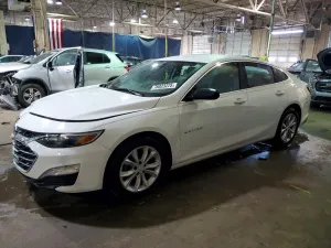 2019 CHEVROLET MALIBU