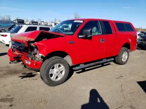 2005 FORD All Models