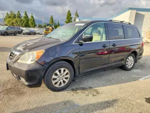 2008 HONDA All Models