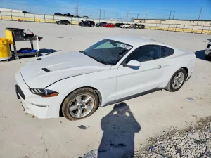 2019 FORD ALL Models