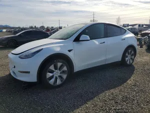 2020 TESLA MODEL Y