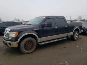 2010 FORD F-150
