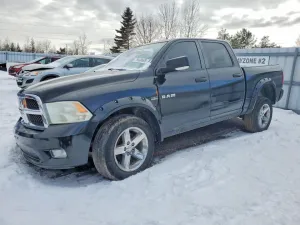 2010 DODGE All Models