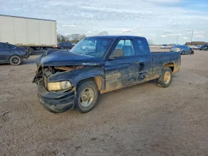 1999 DODGE All Models