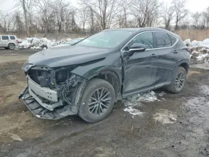 2024 LEXUS NX 350 PRE