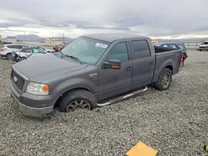 2007 FORD F-150
