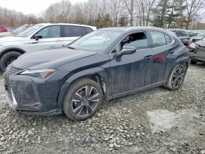 2023 LEXUS UX 250H PR