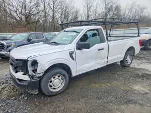 2021 FORD All Models