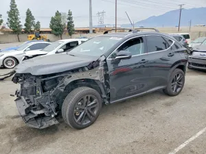 2025 LEXUS NX 450H LU